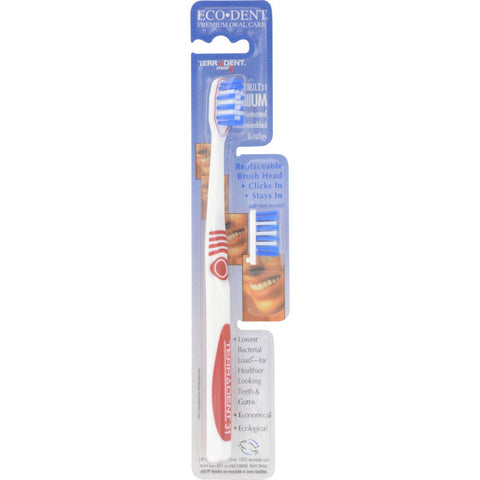 Terradent 31 Toothbrush + Refill Medium - 1 Toothbrush - Case Of 6