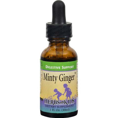 Herbs For Kids Minty Ginger - 1 Fl Oz