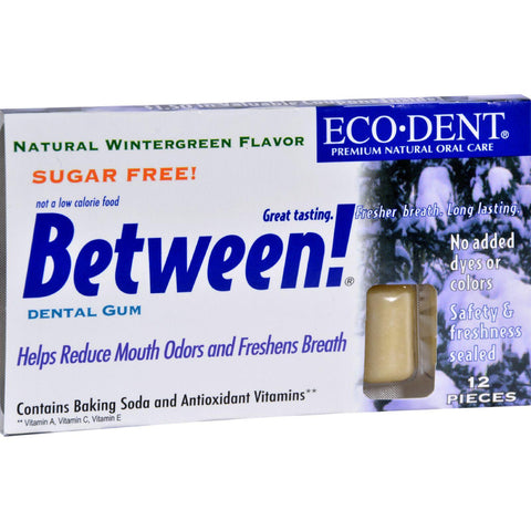 Eco-dent Between Dental Gum - Wintergreen - Case Of 12 - 12 Pack